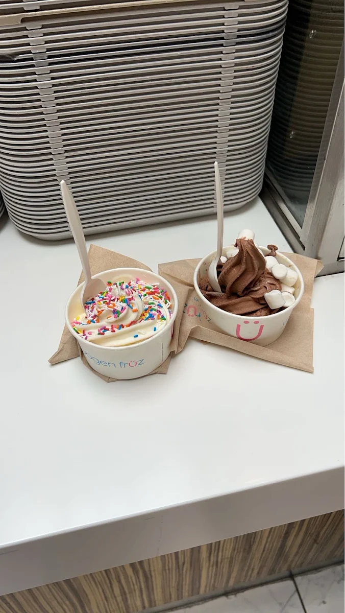 Frozen Yogurt