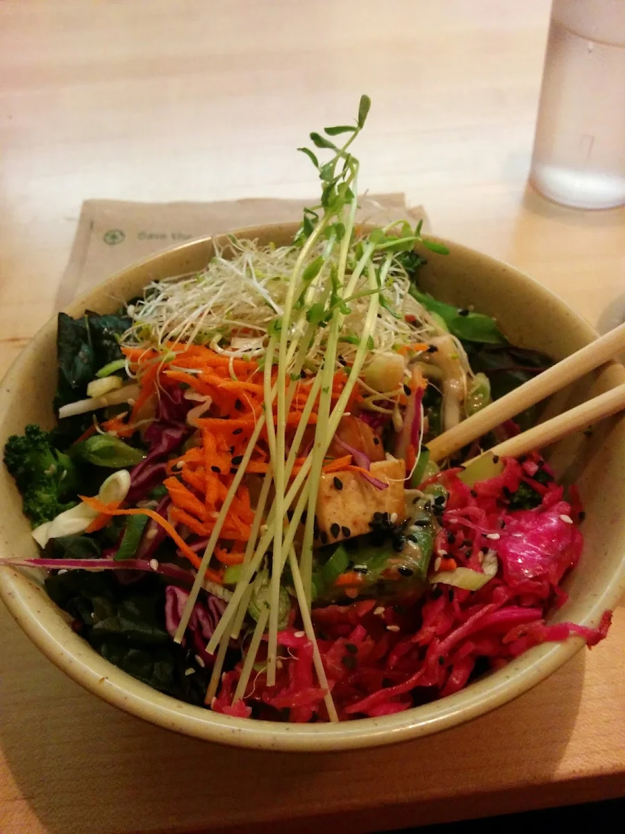 Vegan Rice Bowl