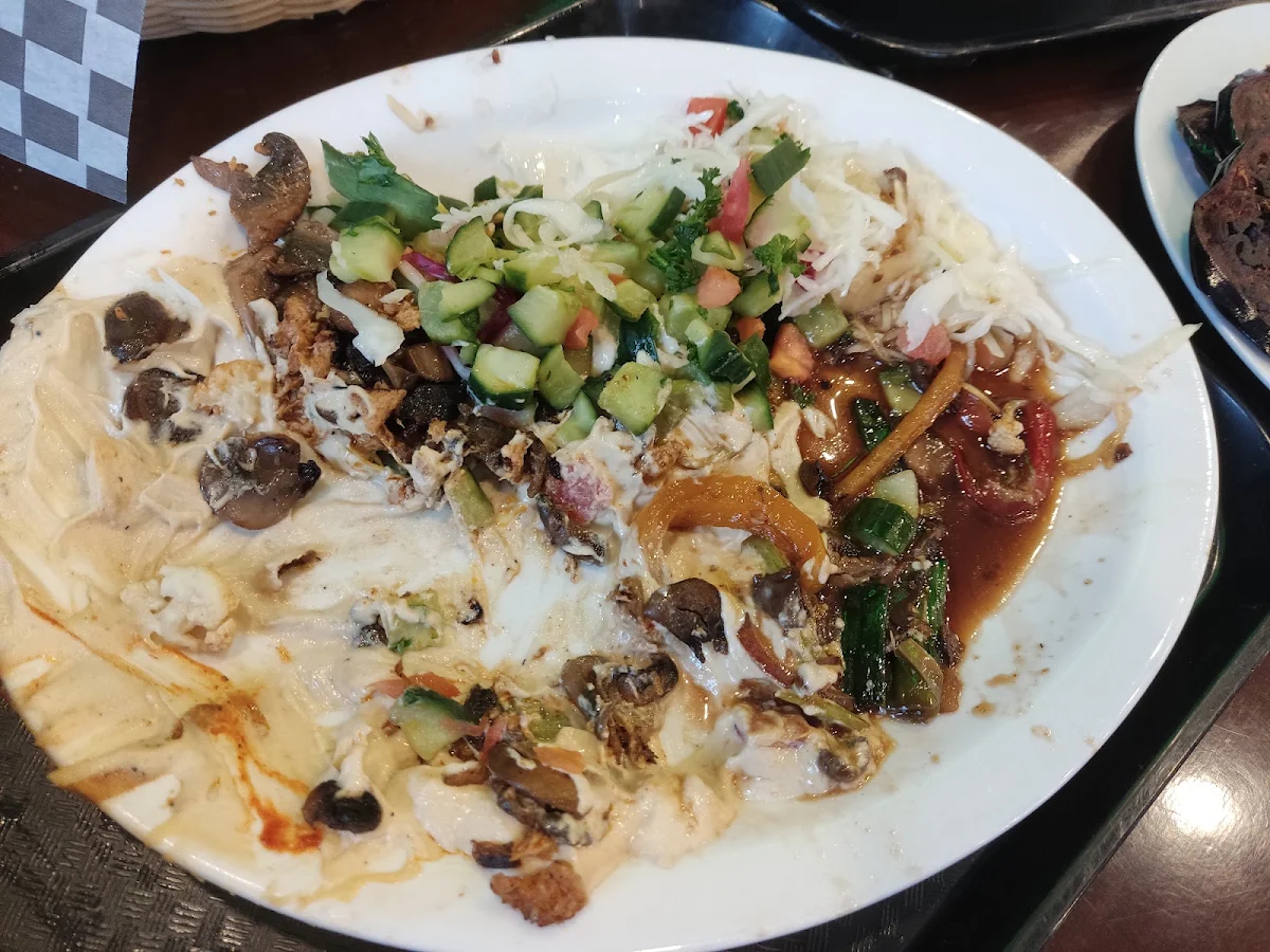 Hummus Shawarma Plate