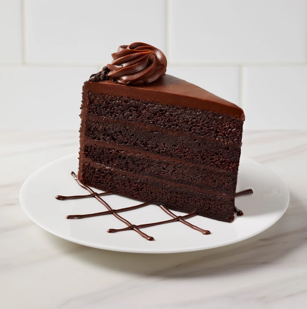 Fudge Cake Slice