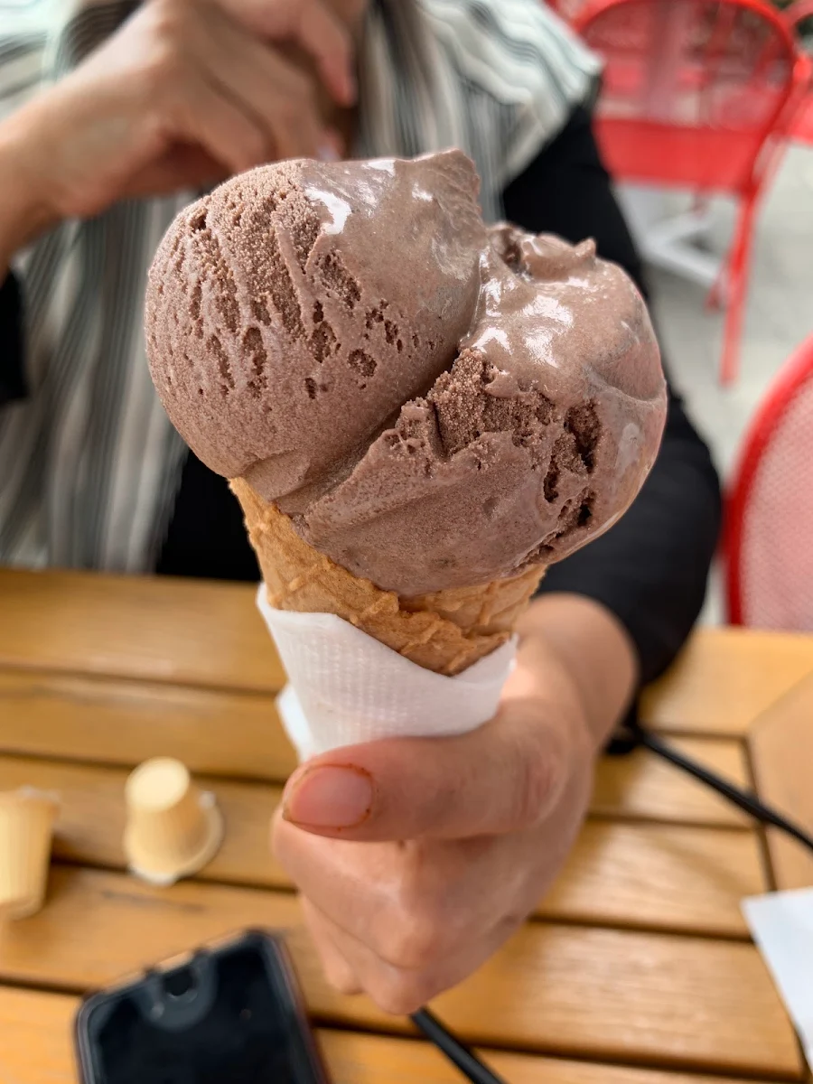 Chocolate Fudge Brownie