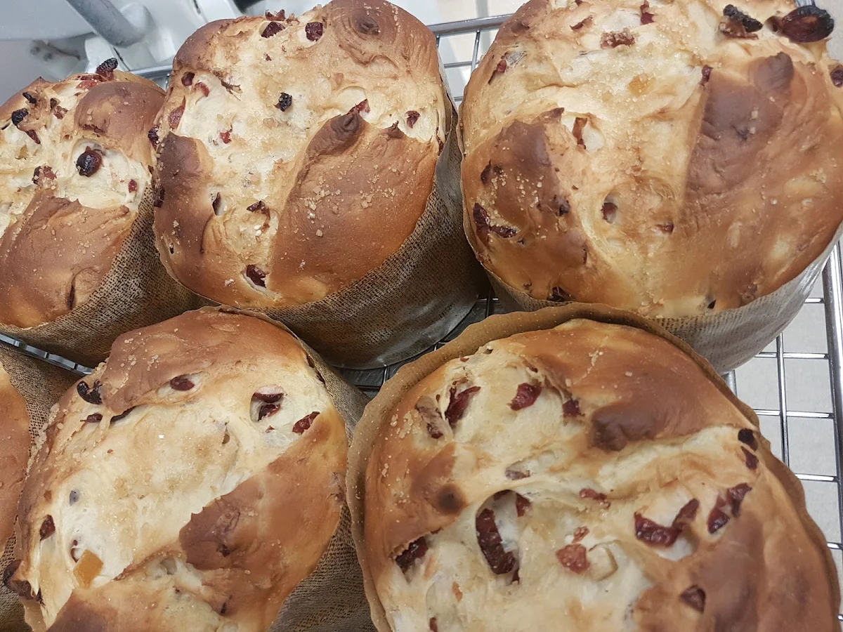 Cranberry Orange Brioche