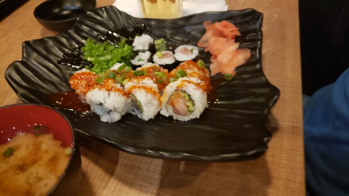 Spicy Tuna Roll and Negitoro