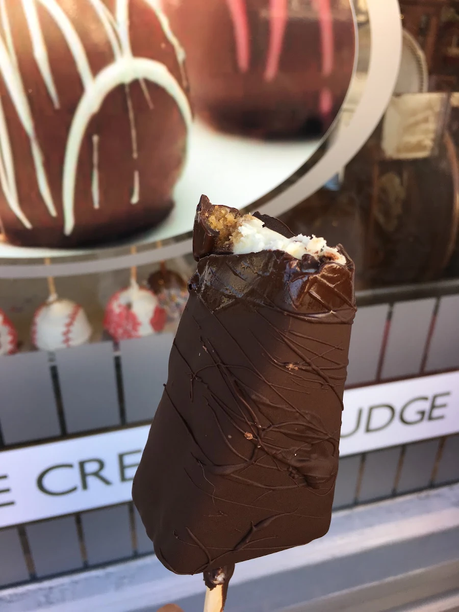 Dark Chocolate Dipped Cheesecake