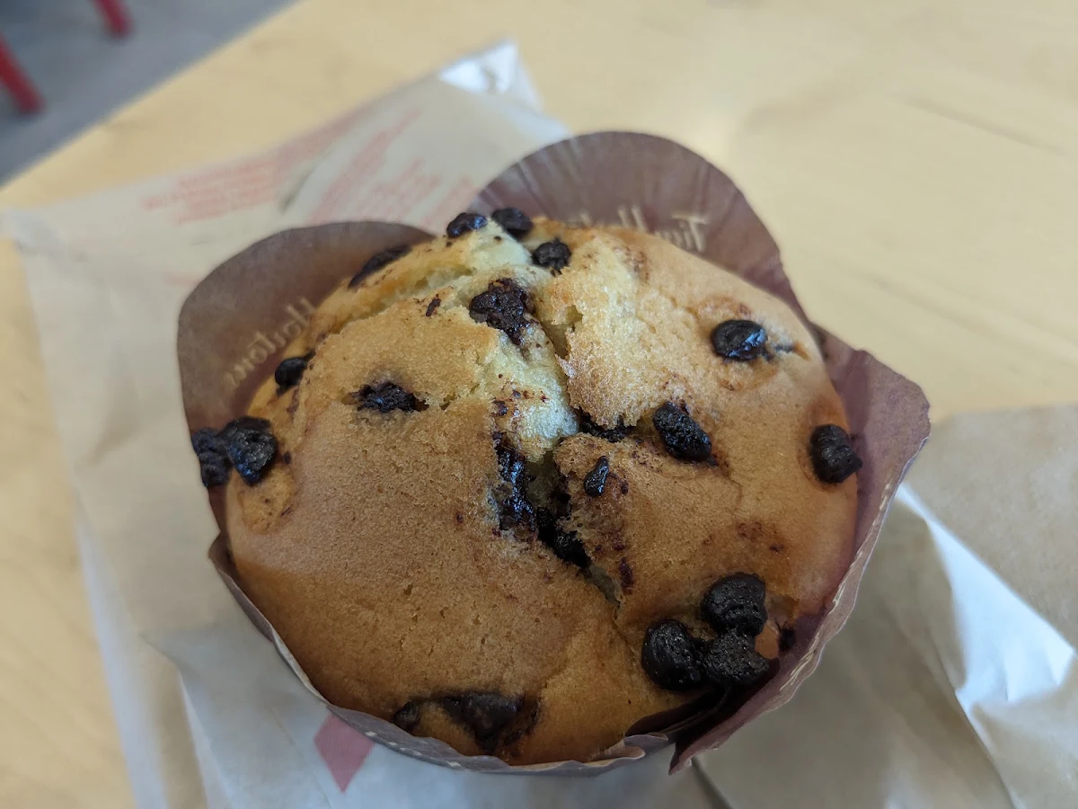 Chocolate Muffin