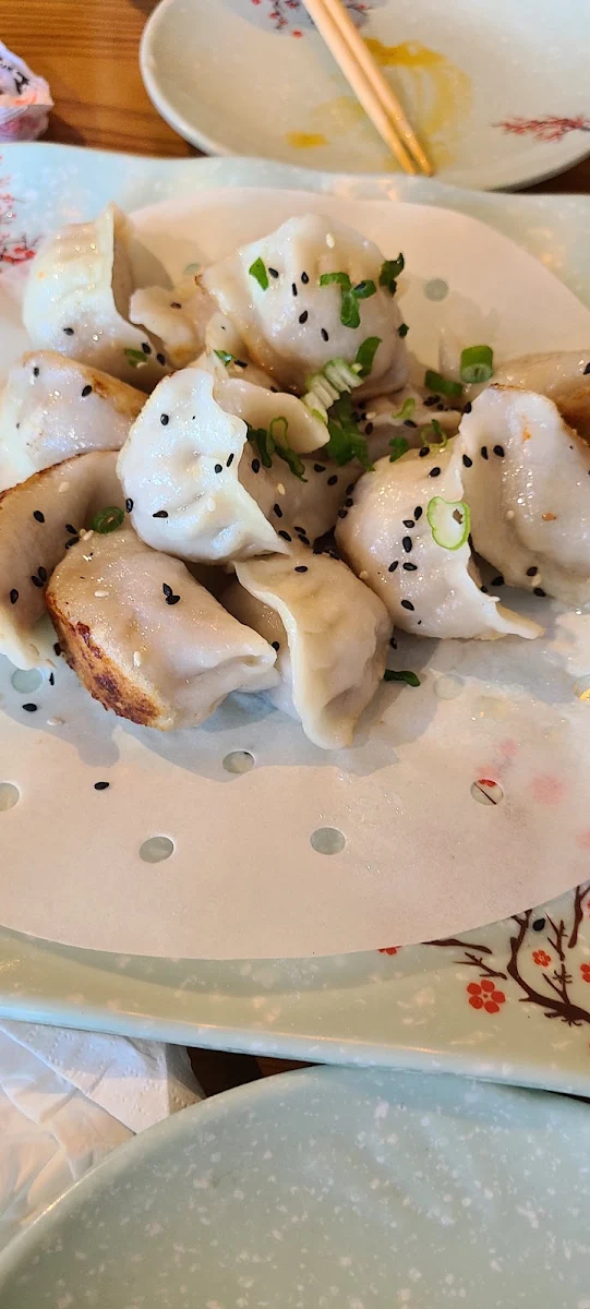 Pan Fried Chicken Dumplings