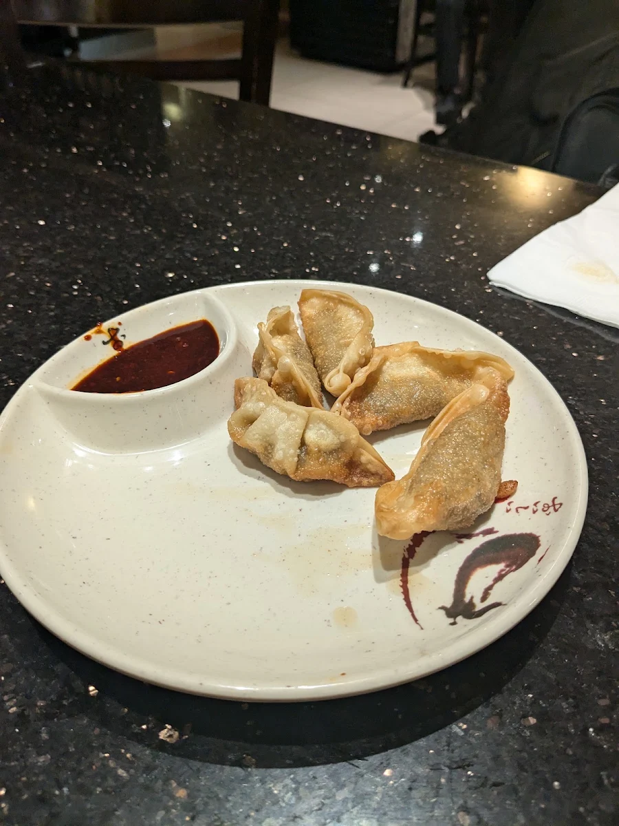 Fried Dumplings
