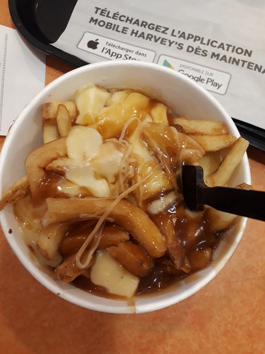 Classic Poutine