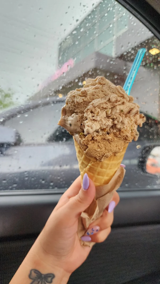 Dark Chocolate Cinnamon Ice Cream Cone