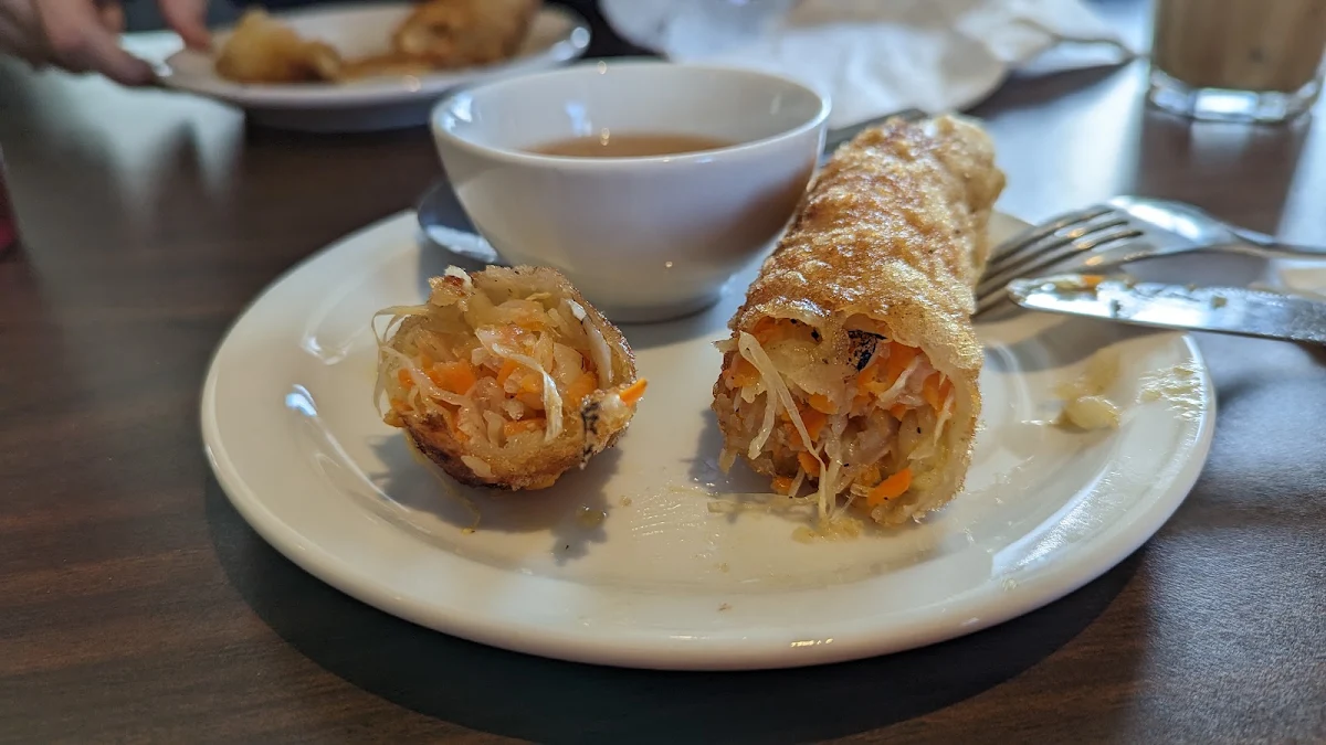 Vegetarian Spring Rolls