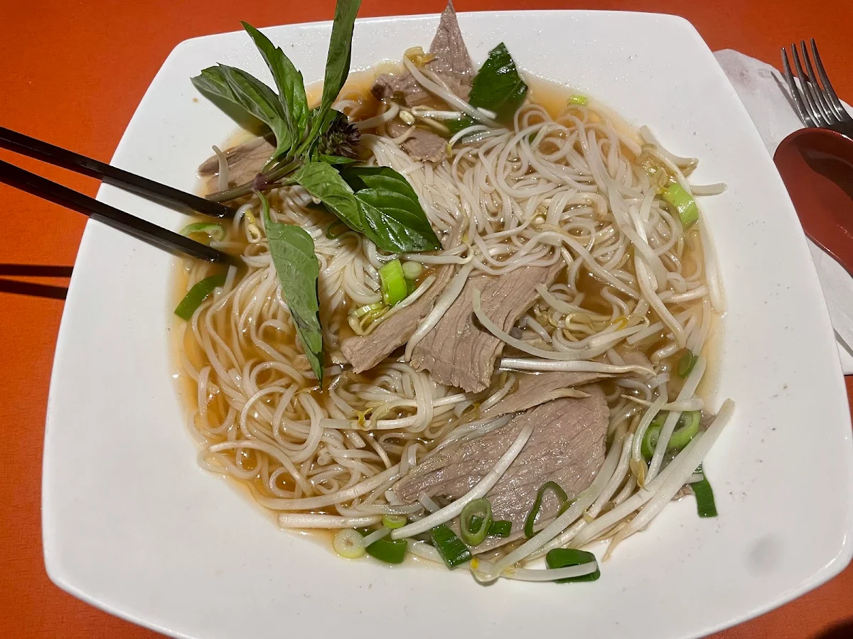 Rice Noodle Soup with Beef