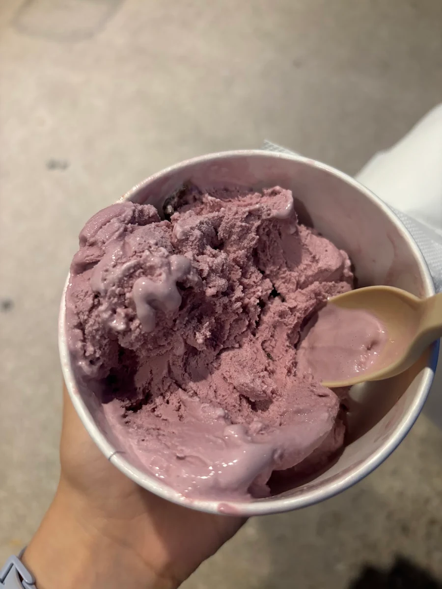 Bordeaux Cherry