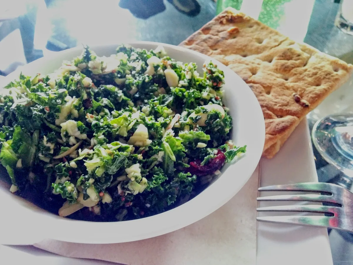 Salad and Panini