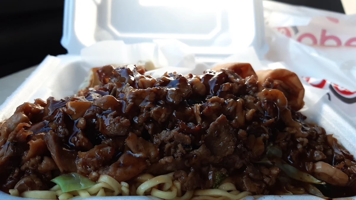 Chicken Beef Bento Box with Spring Rolls and Gyoza