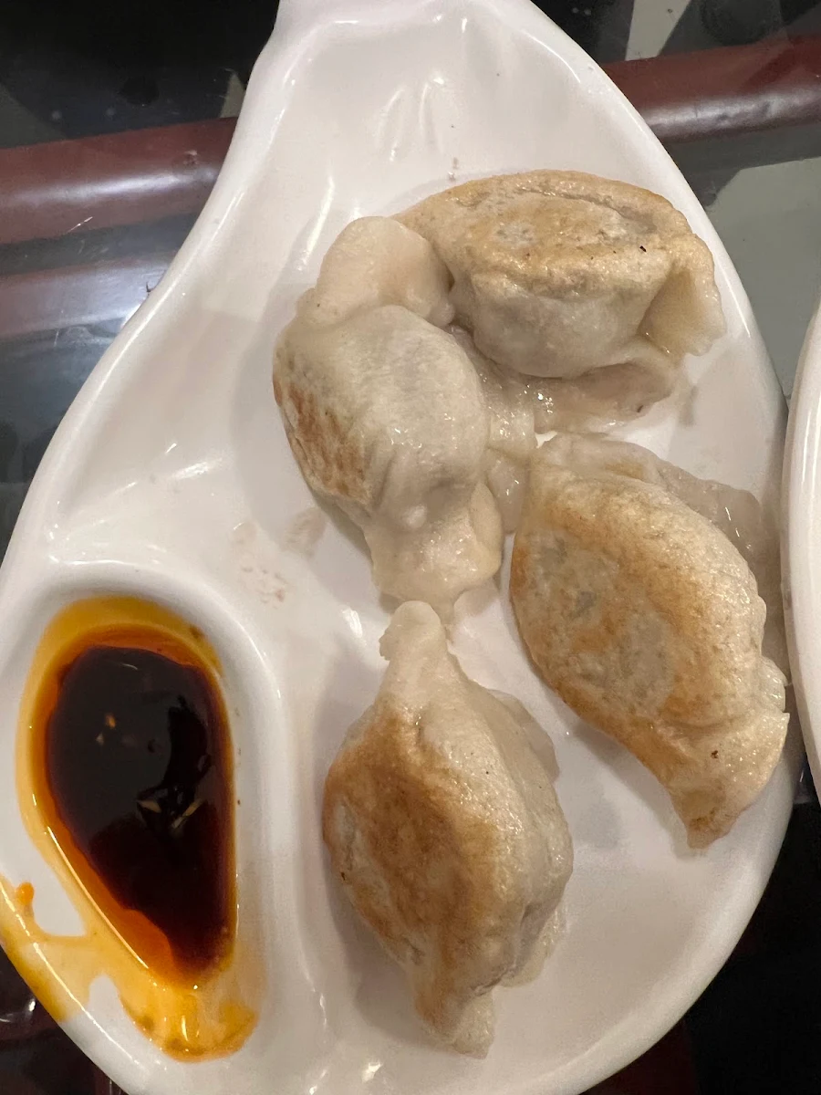 Beef Fried Dumplings