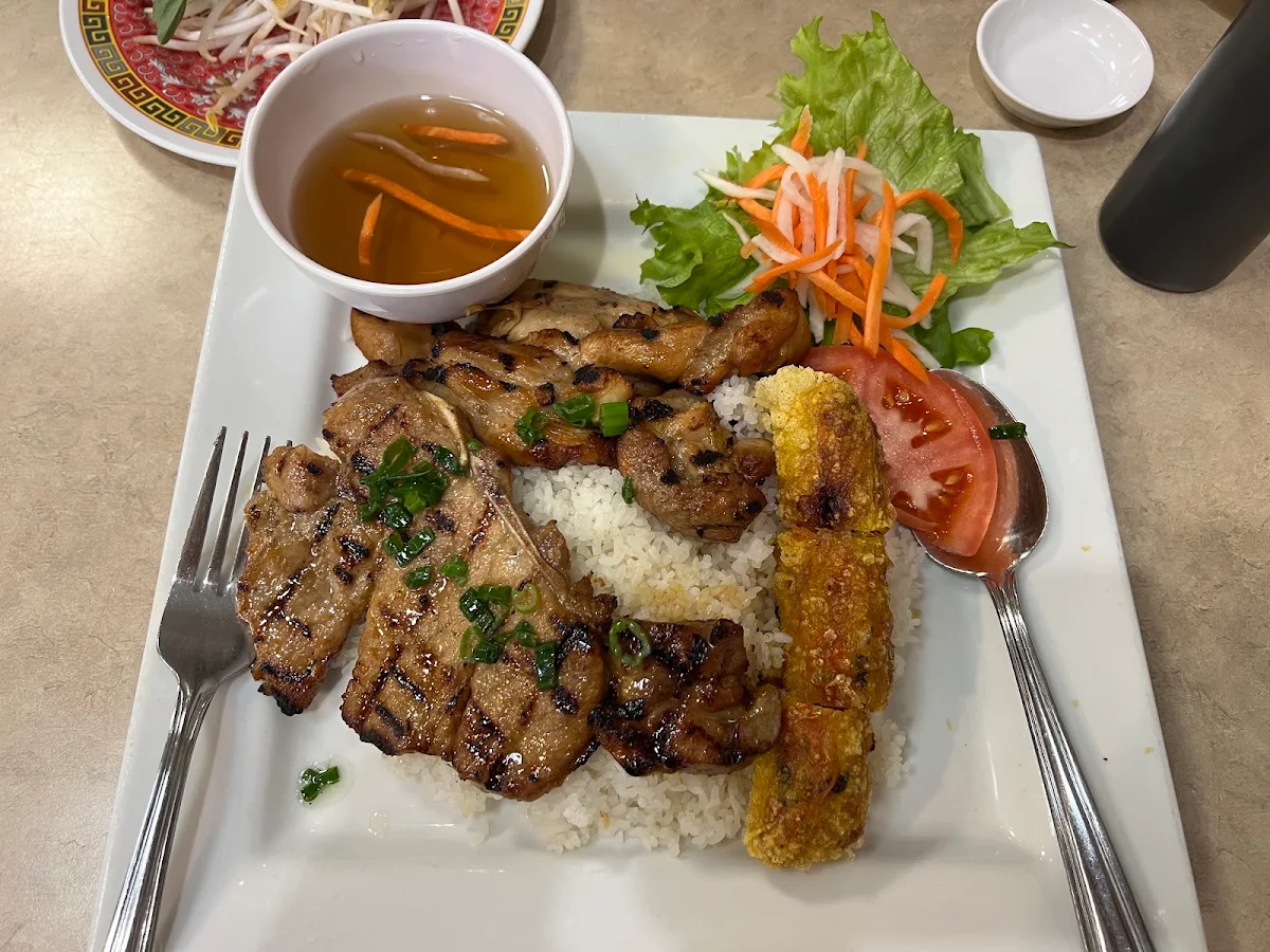 Grilled Chicken and Spring Roll