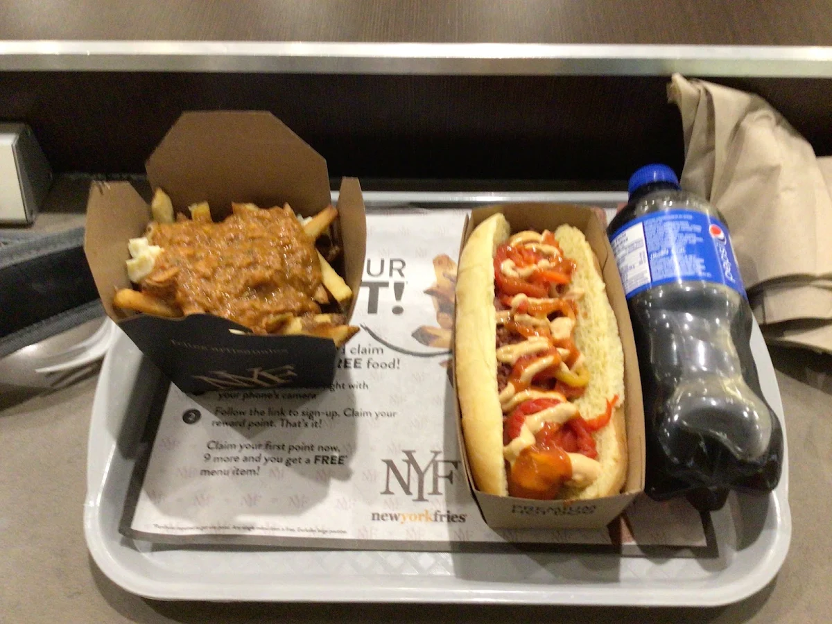 Butter Chicken Fries