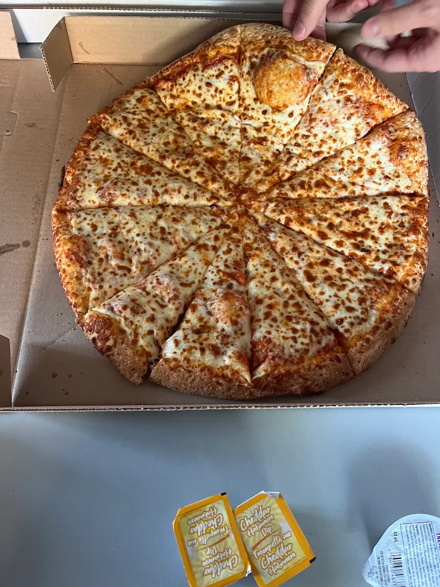 Extra Cheese Pizza