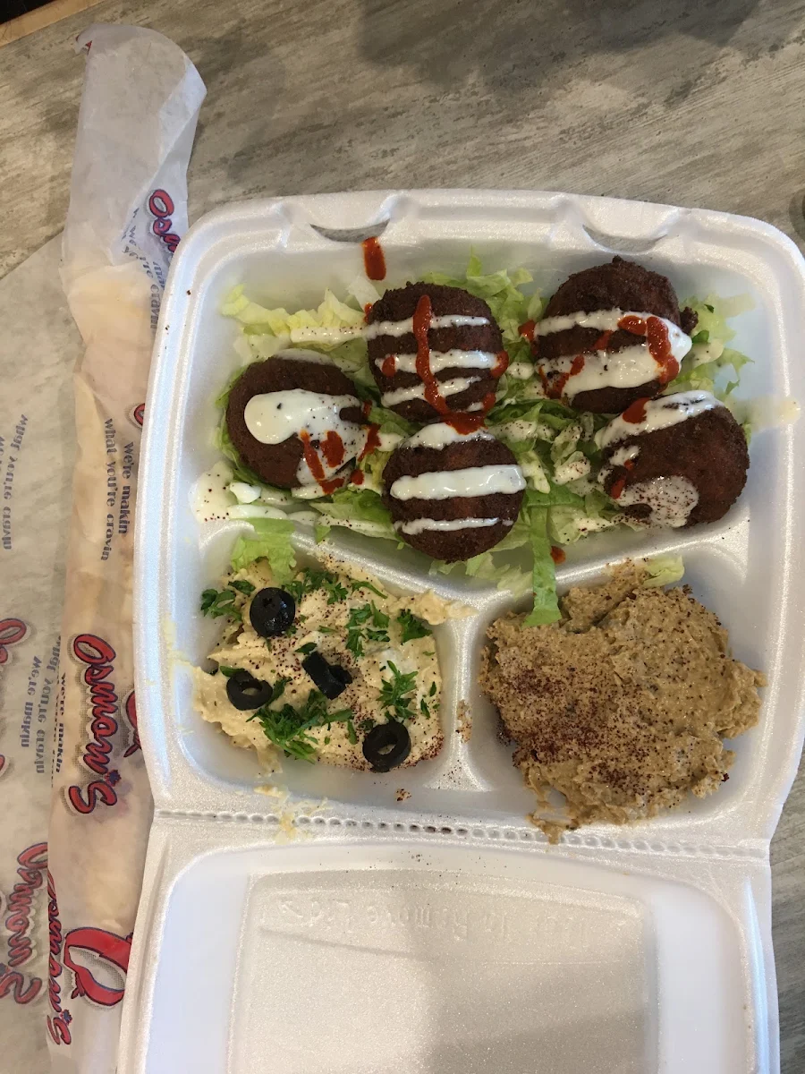 Falafel Plate