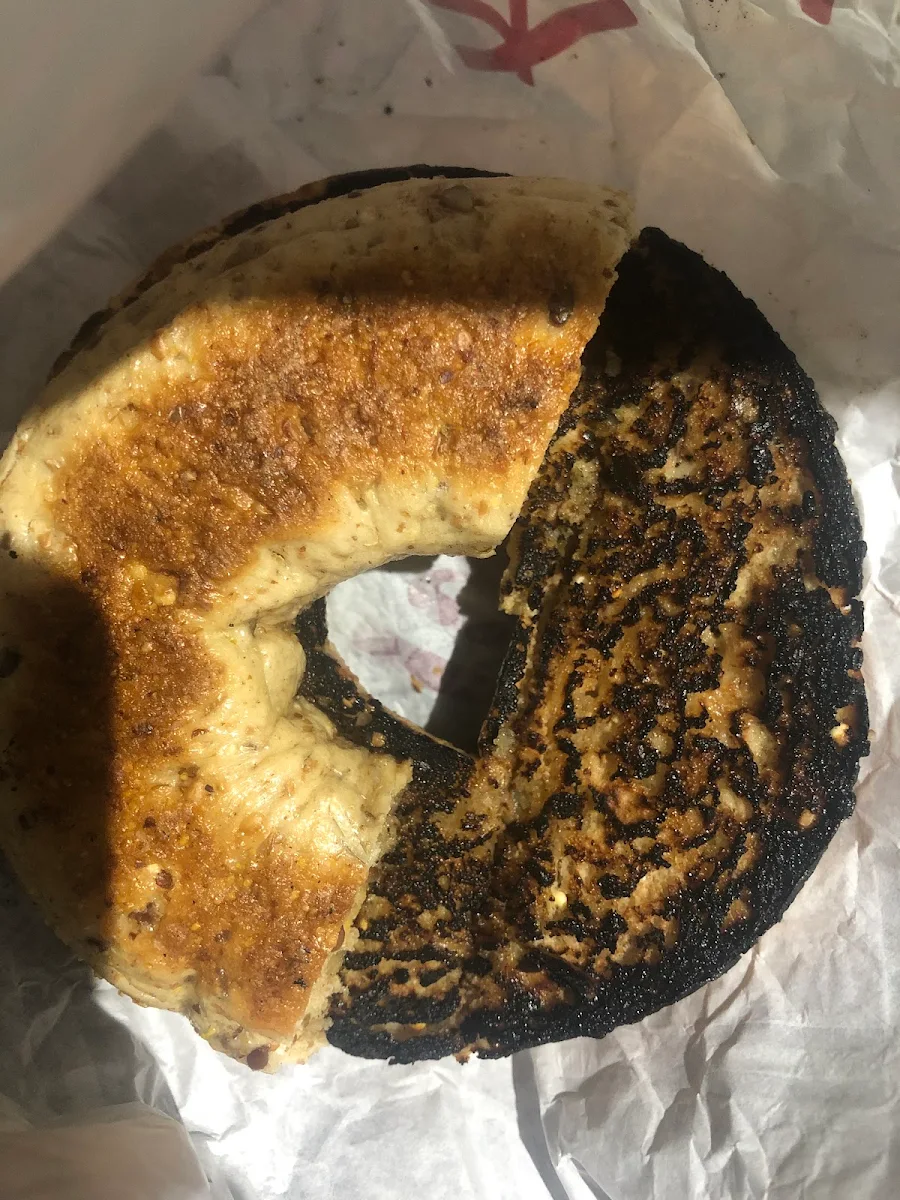 Everything Bagel