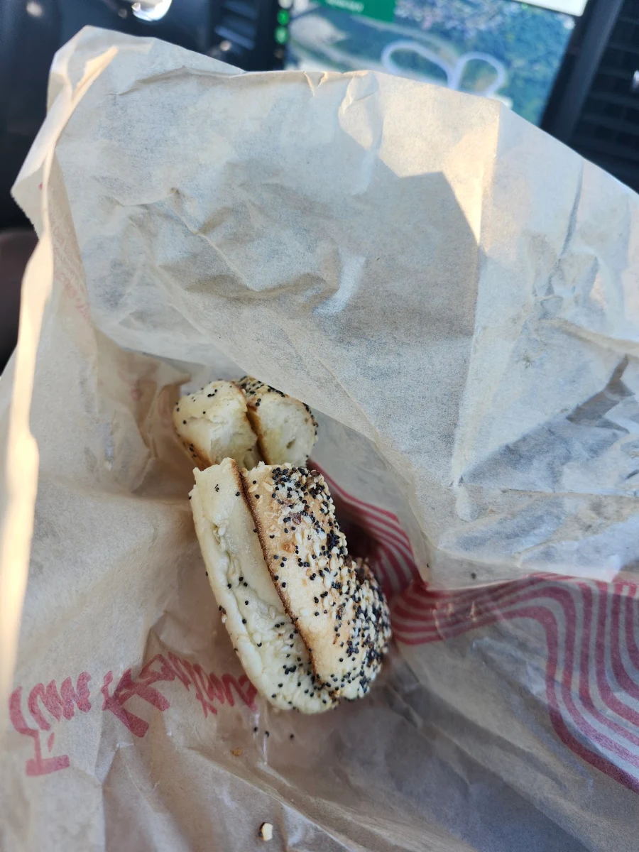 Everything Bagel