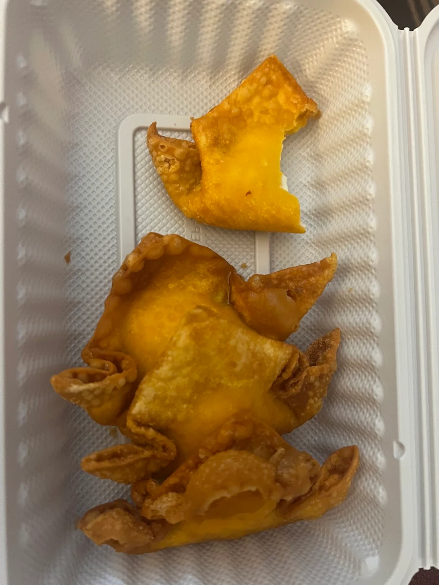 Deep Fried Wonton