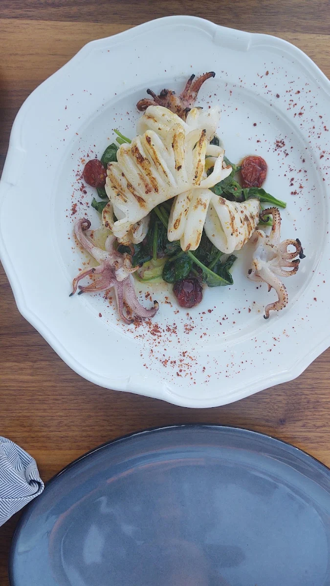 Grilled Calamari