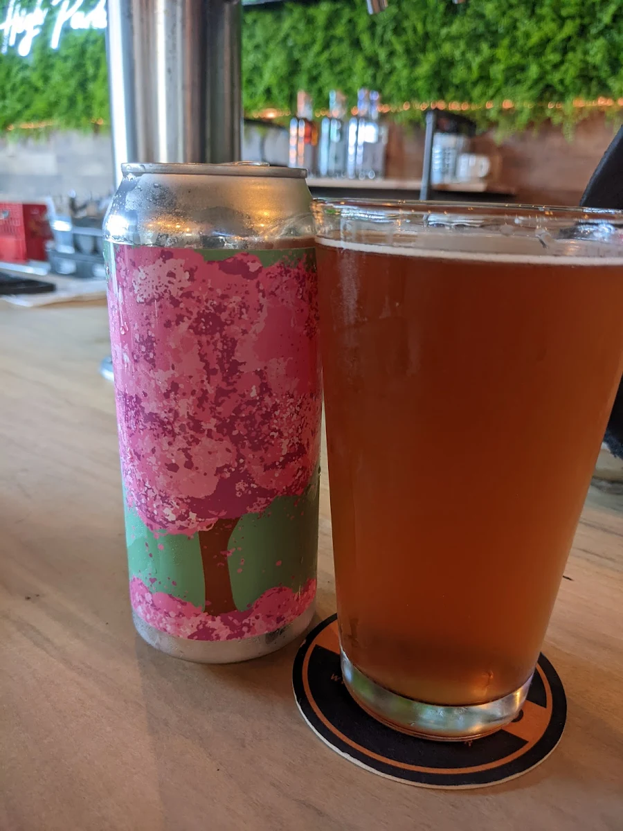 Cherry Blossom Lager