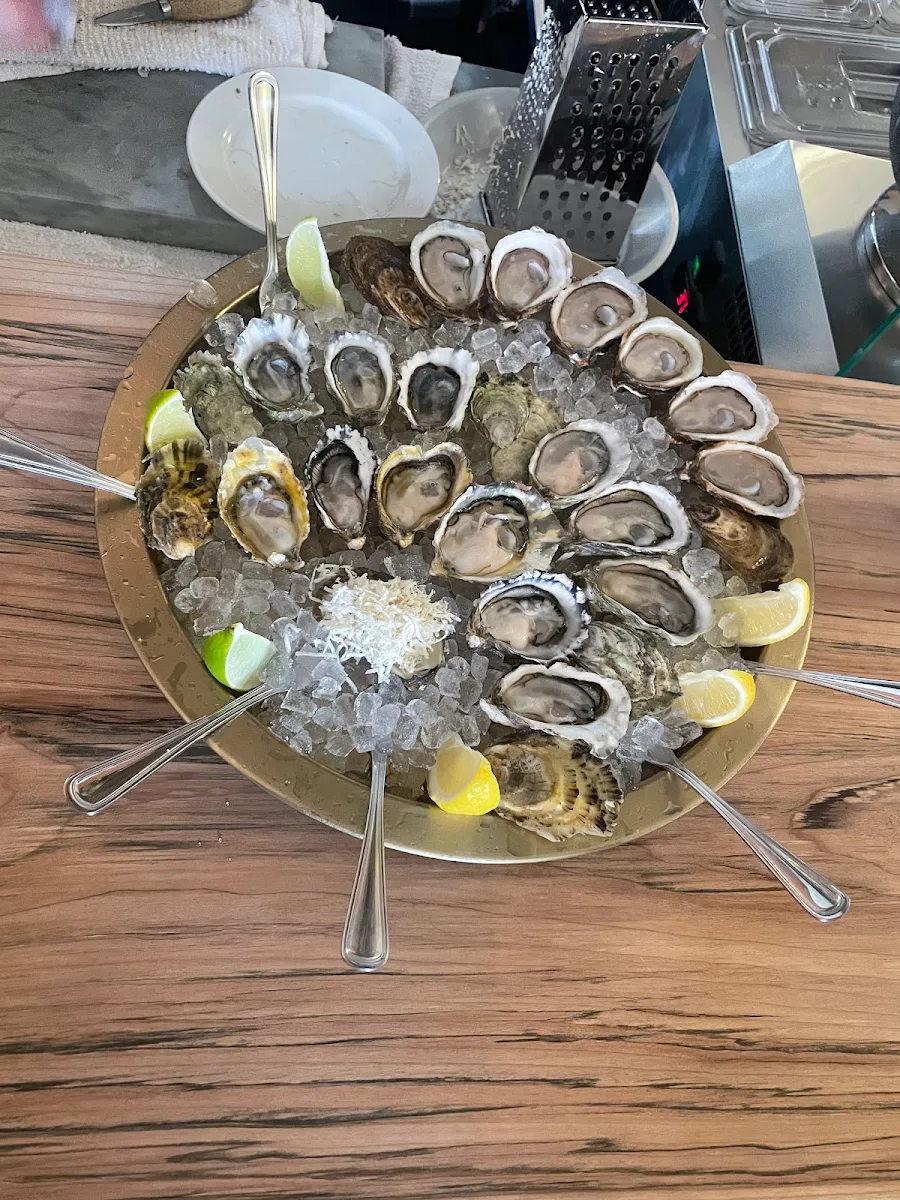 Fresh Raw Oysters on Ice