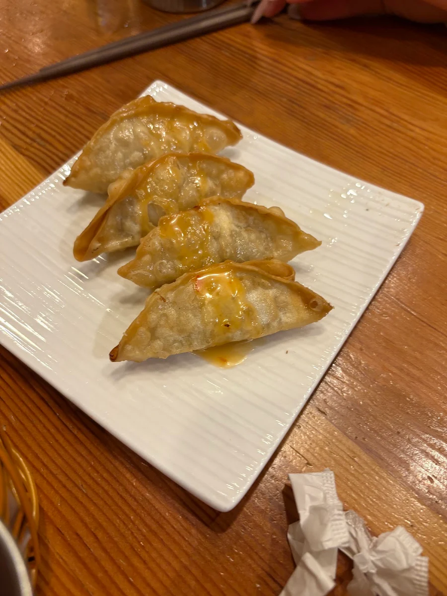 Age Gyoza Pork Veg