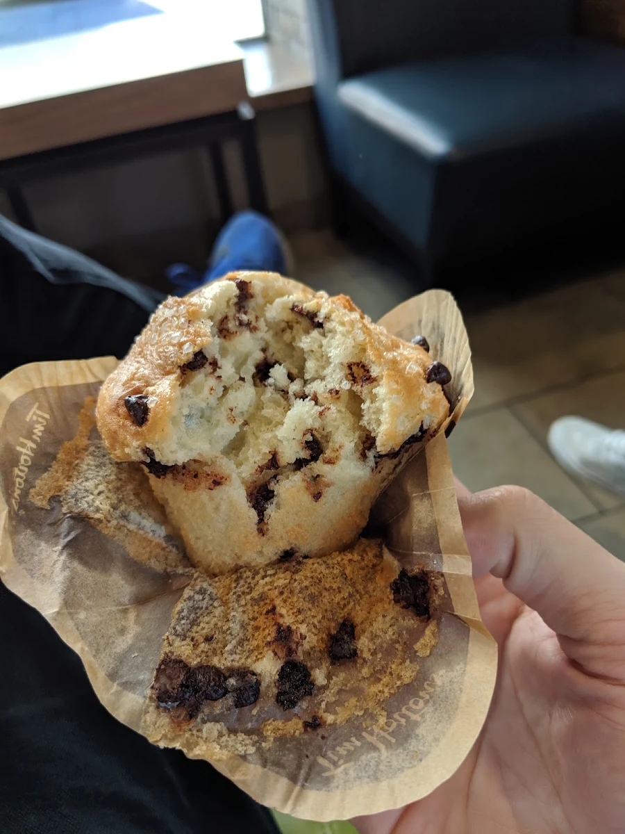 Chocolate Chip Muffin
