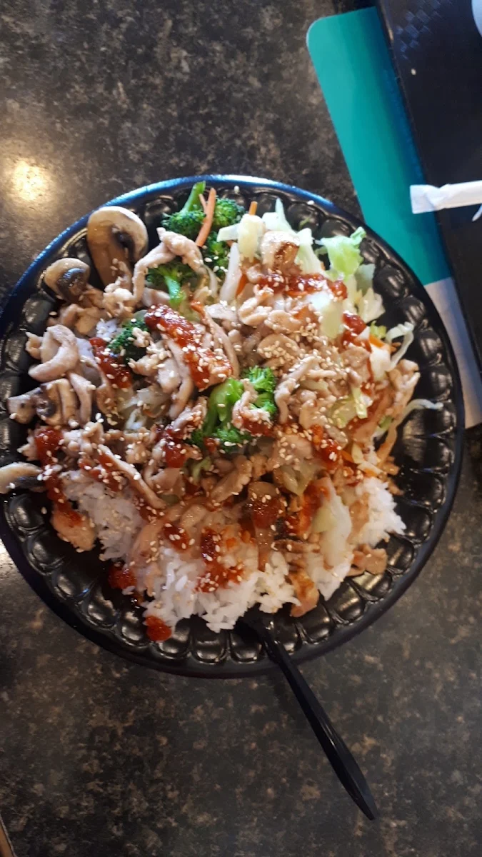 Teriyaki Chicken Bowl of Rice and Vegetables