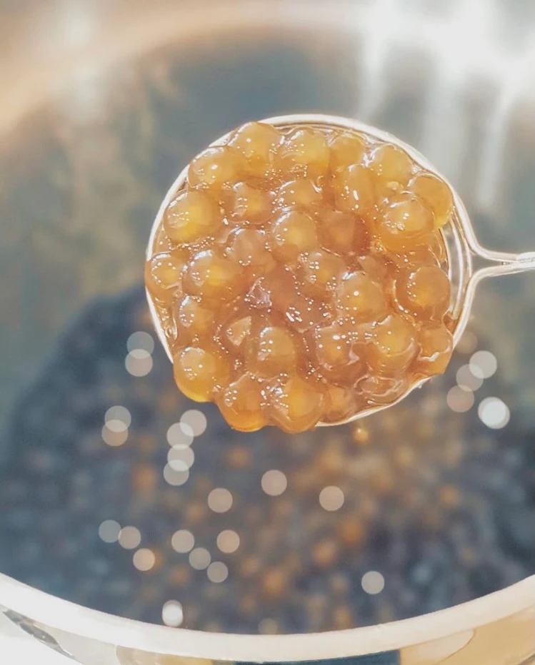Maple Tapioca, GOTCHA Fresh Tea- Thornhill
