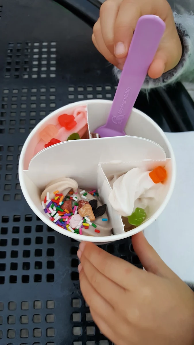 Take Home Frozen Yogurt 700 Grams