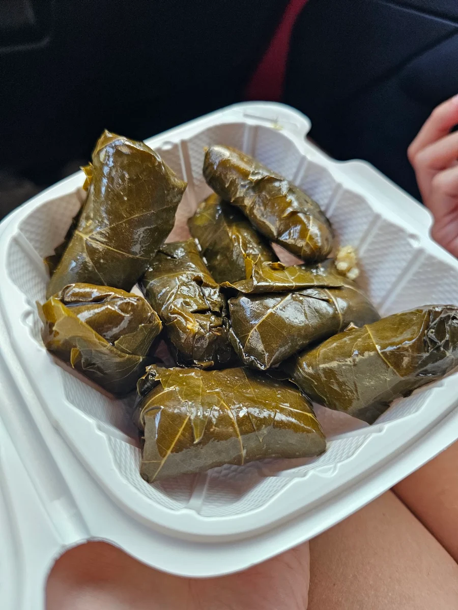 Stuffed Vine Leaves Appetizer, Bacchus Greek Grill