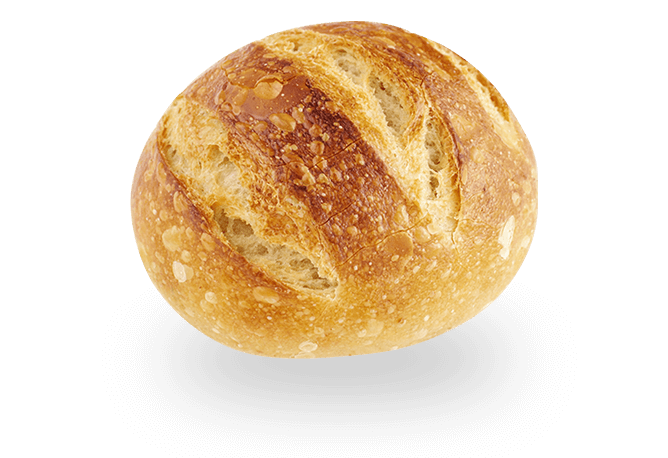 Sourdough Bun