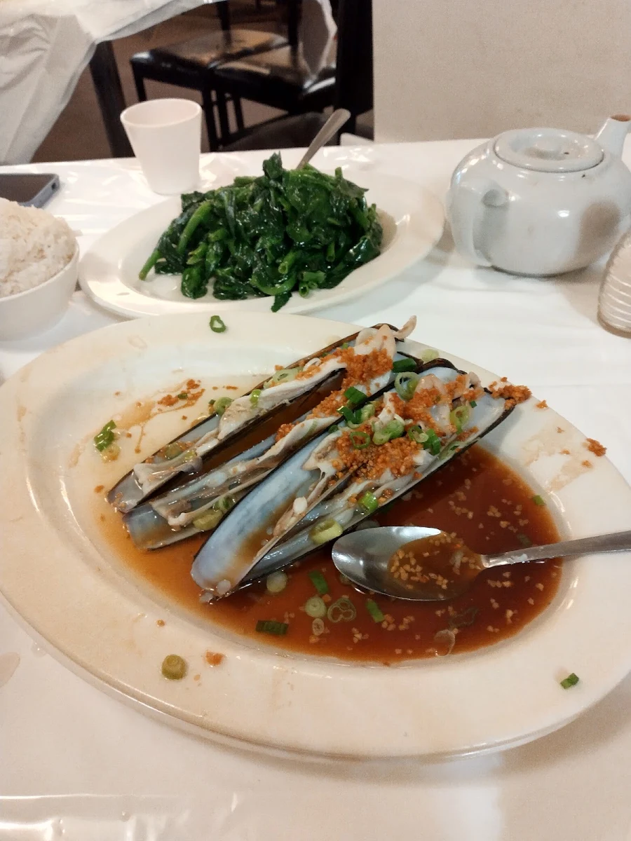Razor Clams