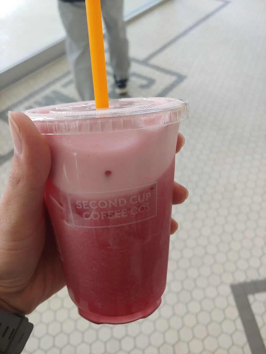 Medium Berry Blossom Hibiscus Tea