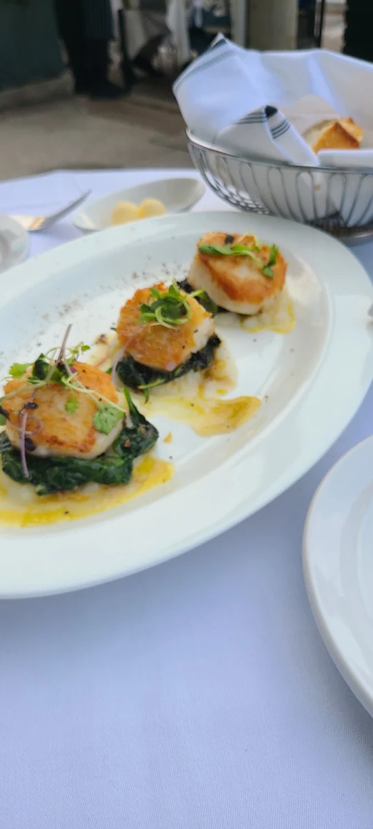 Diver Scallops