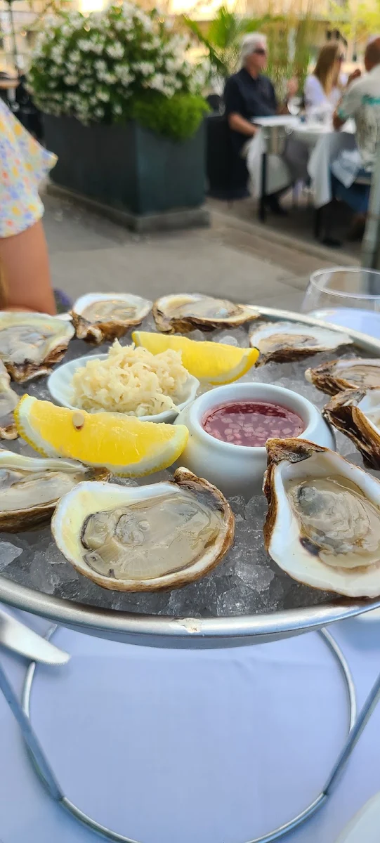 Fresh Oysters