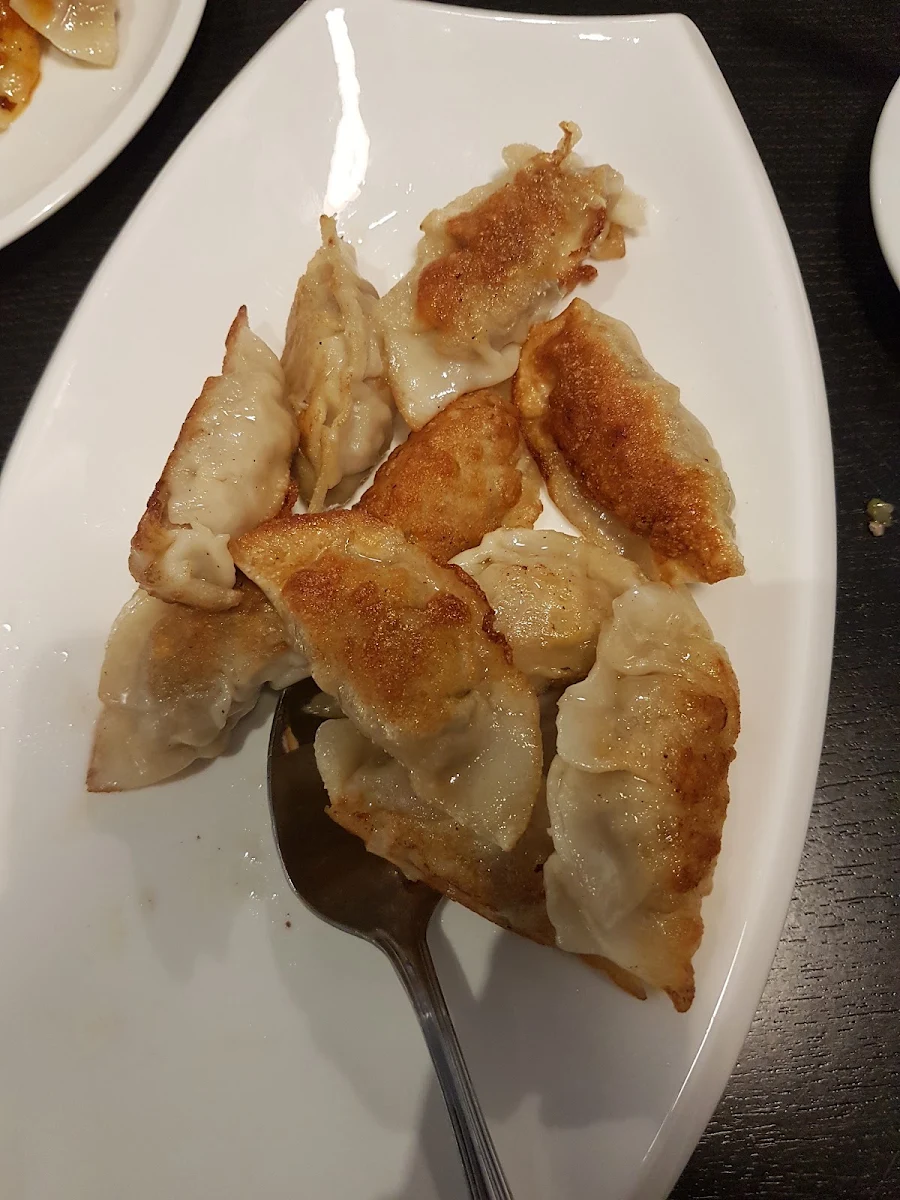 Pork Dumplings