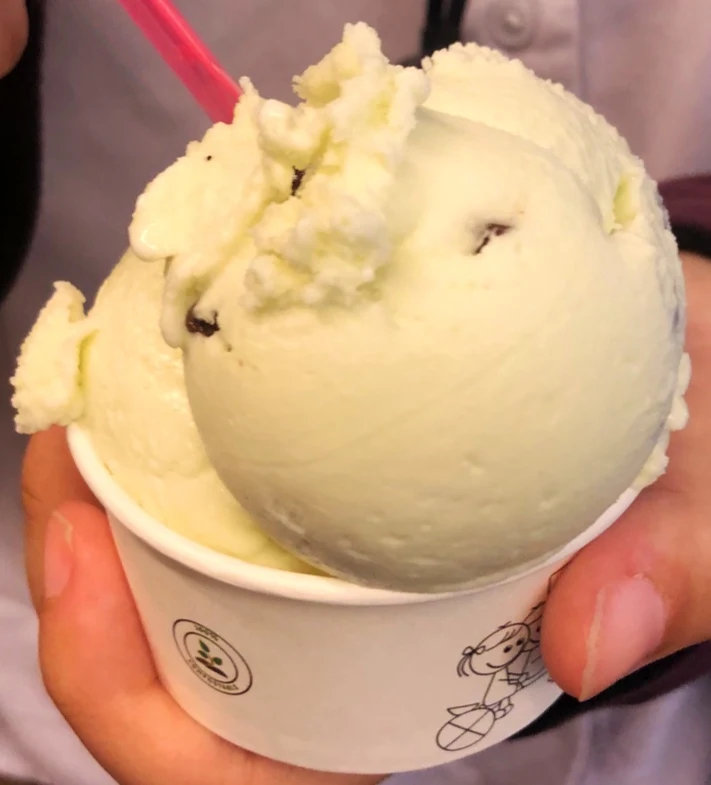 Mint Chocolate Chip