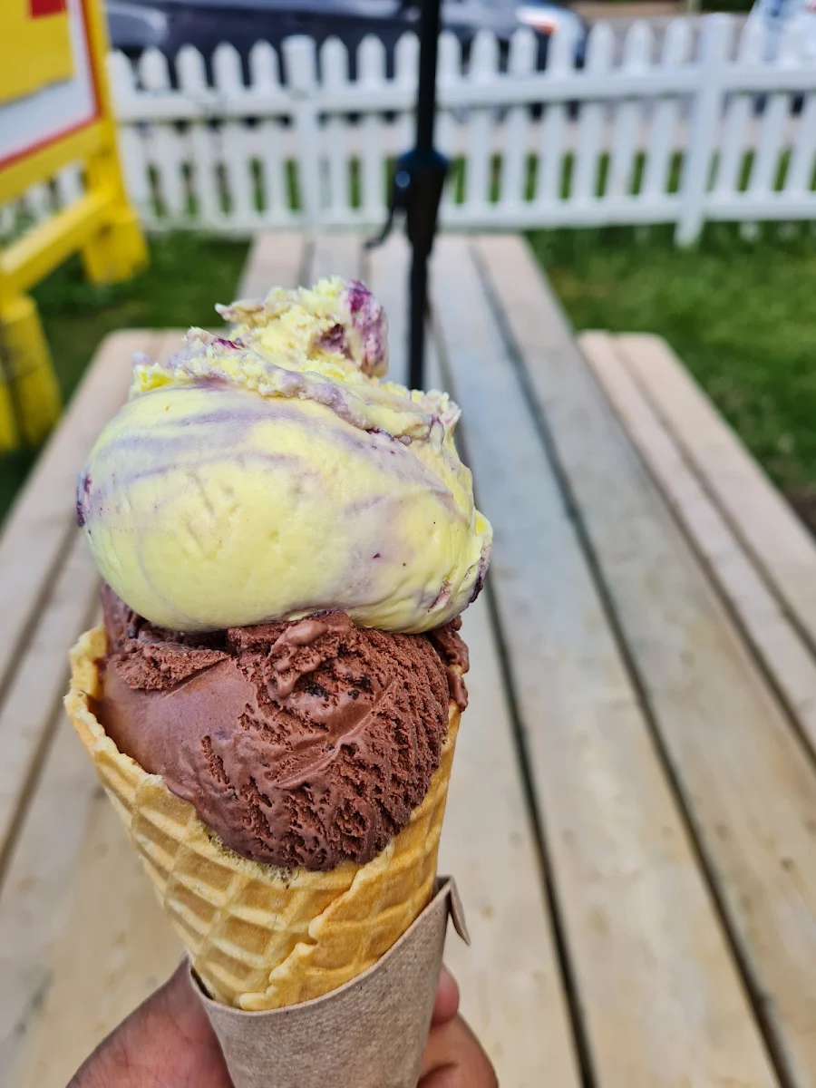 Lemon Blueberry and Choclate