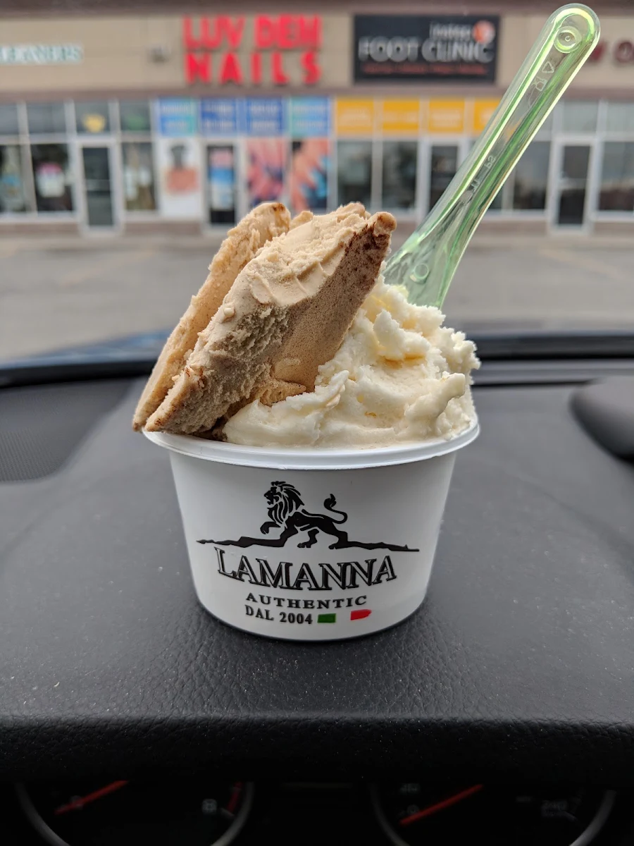 Lemon and Dark Chocolate Gelato