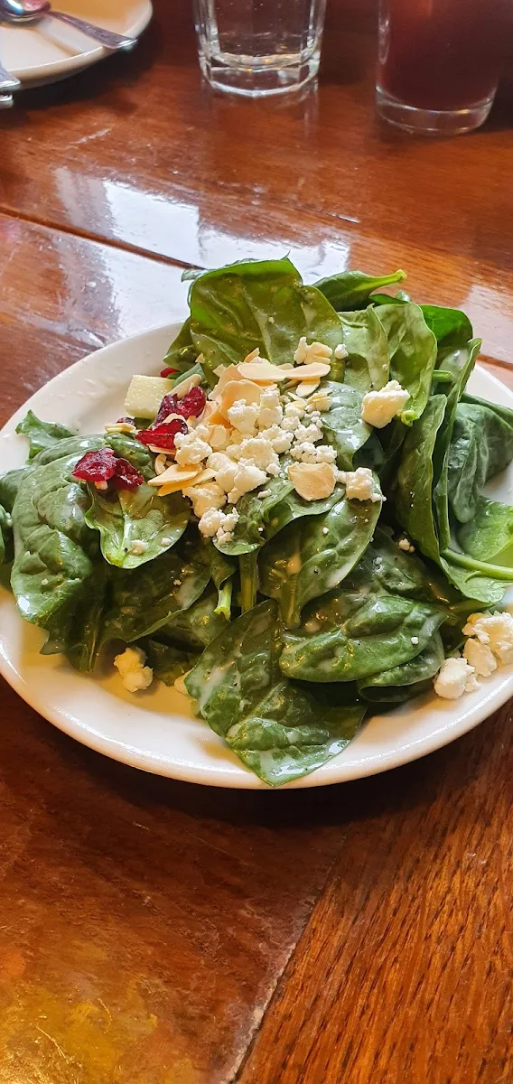 Cranberry Goat Cheese Spinach Salad
