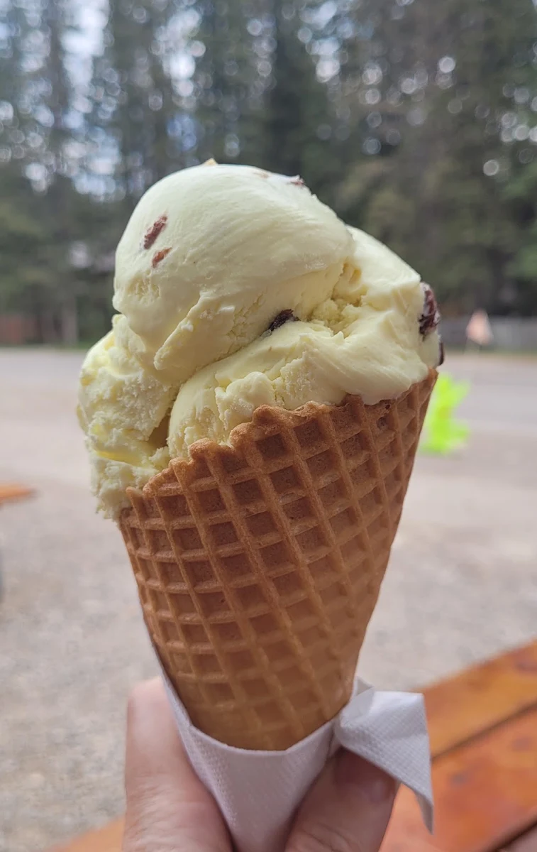 Rum and Raisin Ice Cream Cone