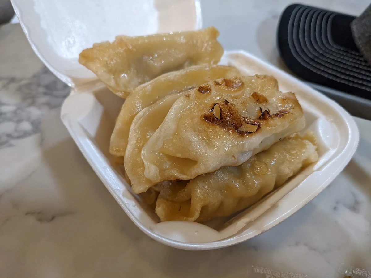 Pan Fried Dumplings