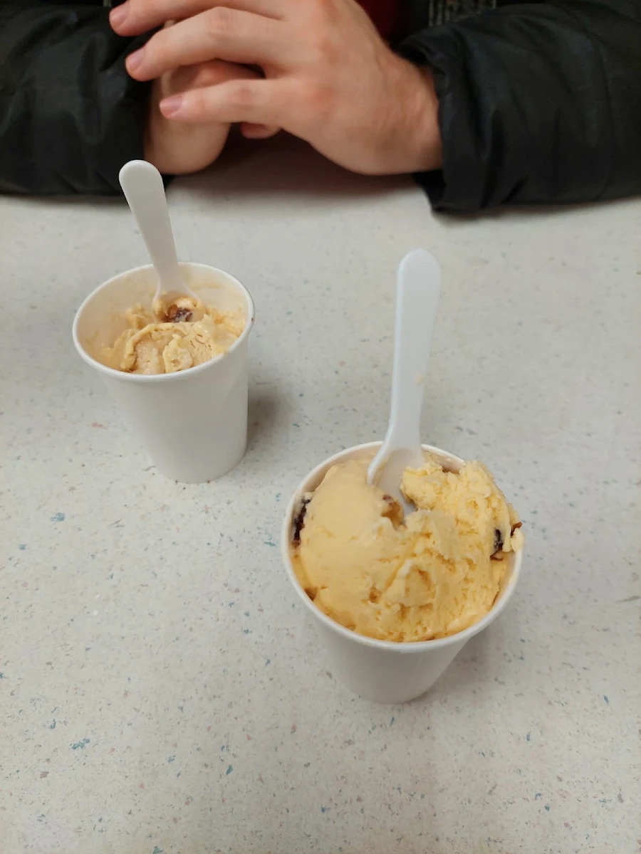 Rum and Raisin Ice Cream