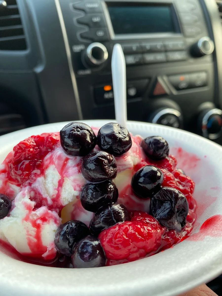 Frozen Yogurt Scooped with Blueberries and Raspberries