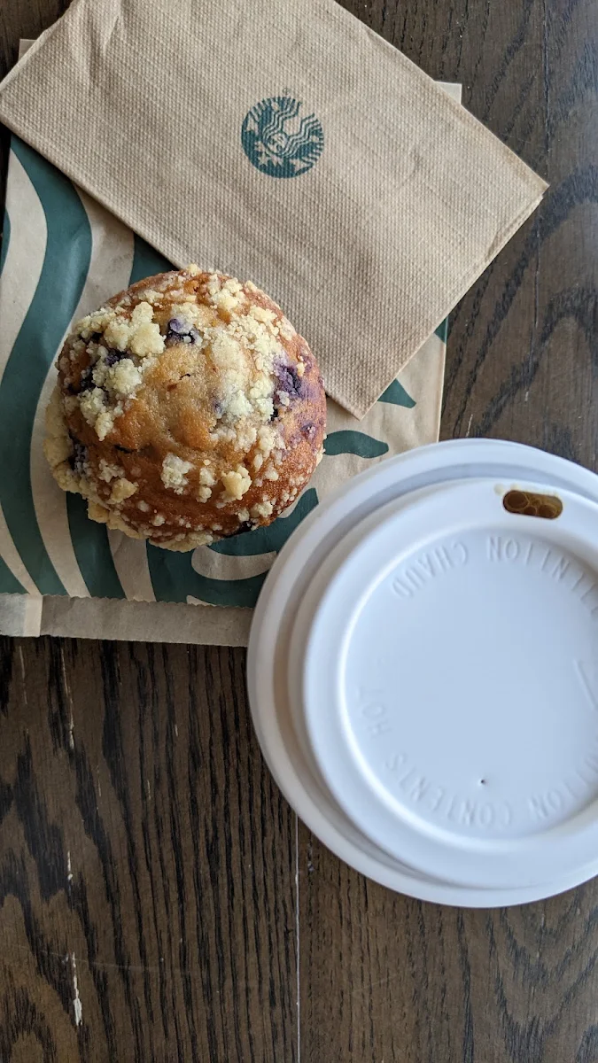 Blueberry Muffin